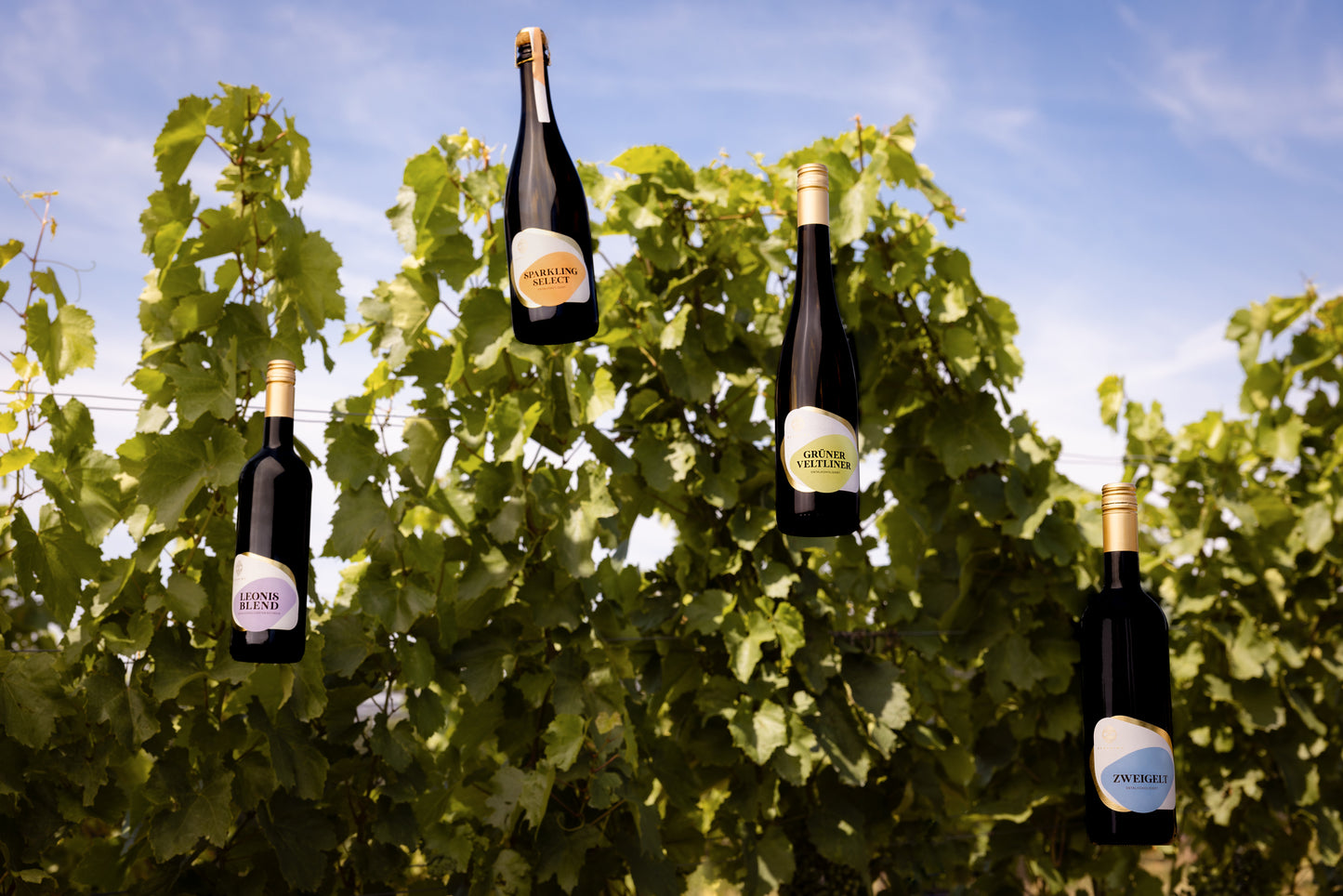 Sparkling Select